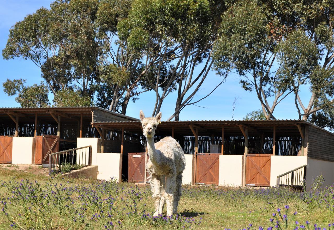 Anna Beulah Farm Villa Durbanville Exterior photo